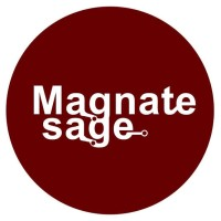 Magnatesage Technologies Pvt. Ltd.