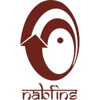 NABFINS LTD